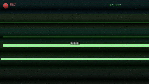 清晨公园散步 - 高清VPSWINDOWS 日常记录